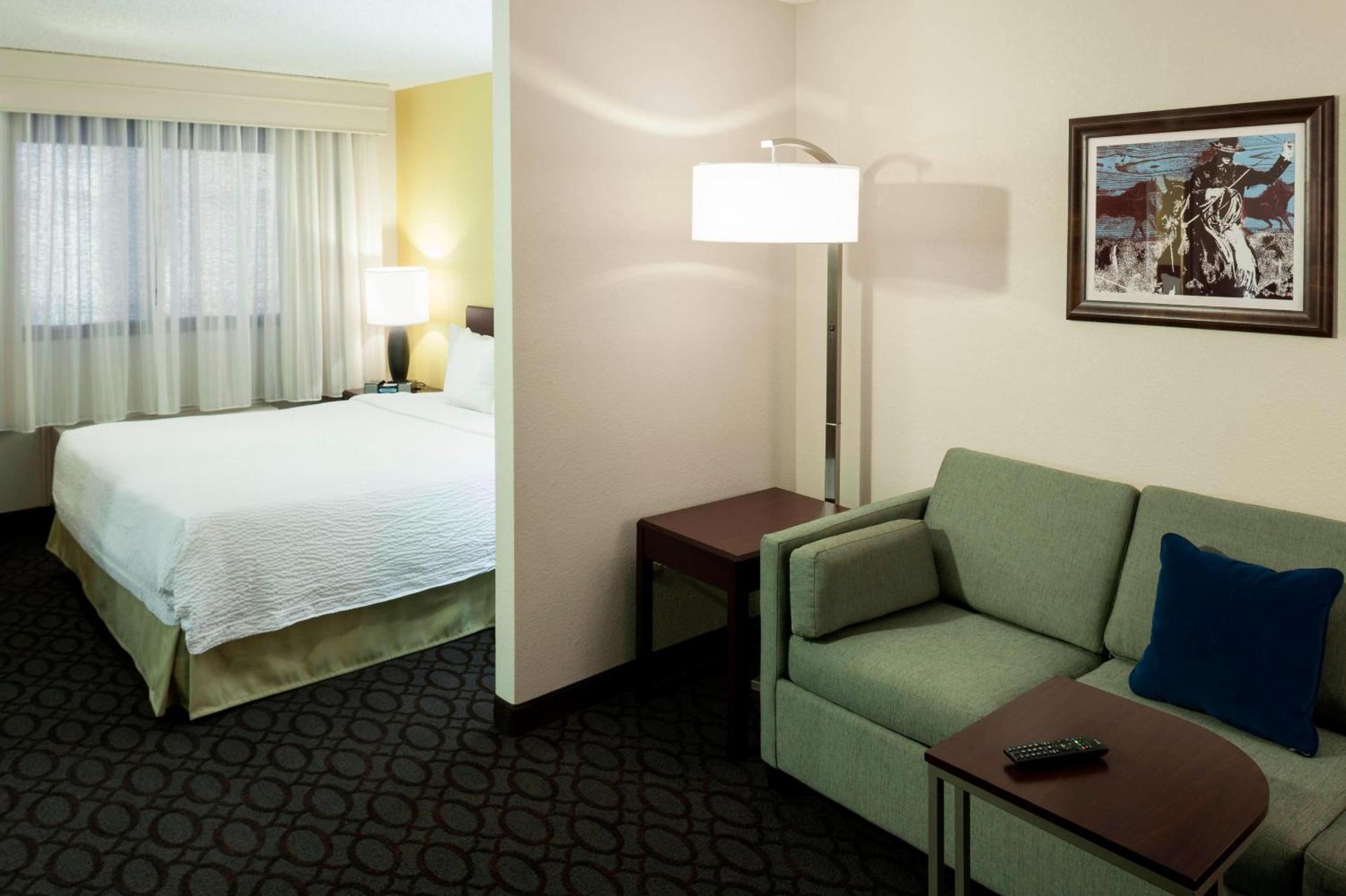 Springhill Suites By Marriott Dallas Downtown / West End Екстер'єр фото